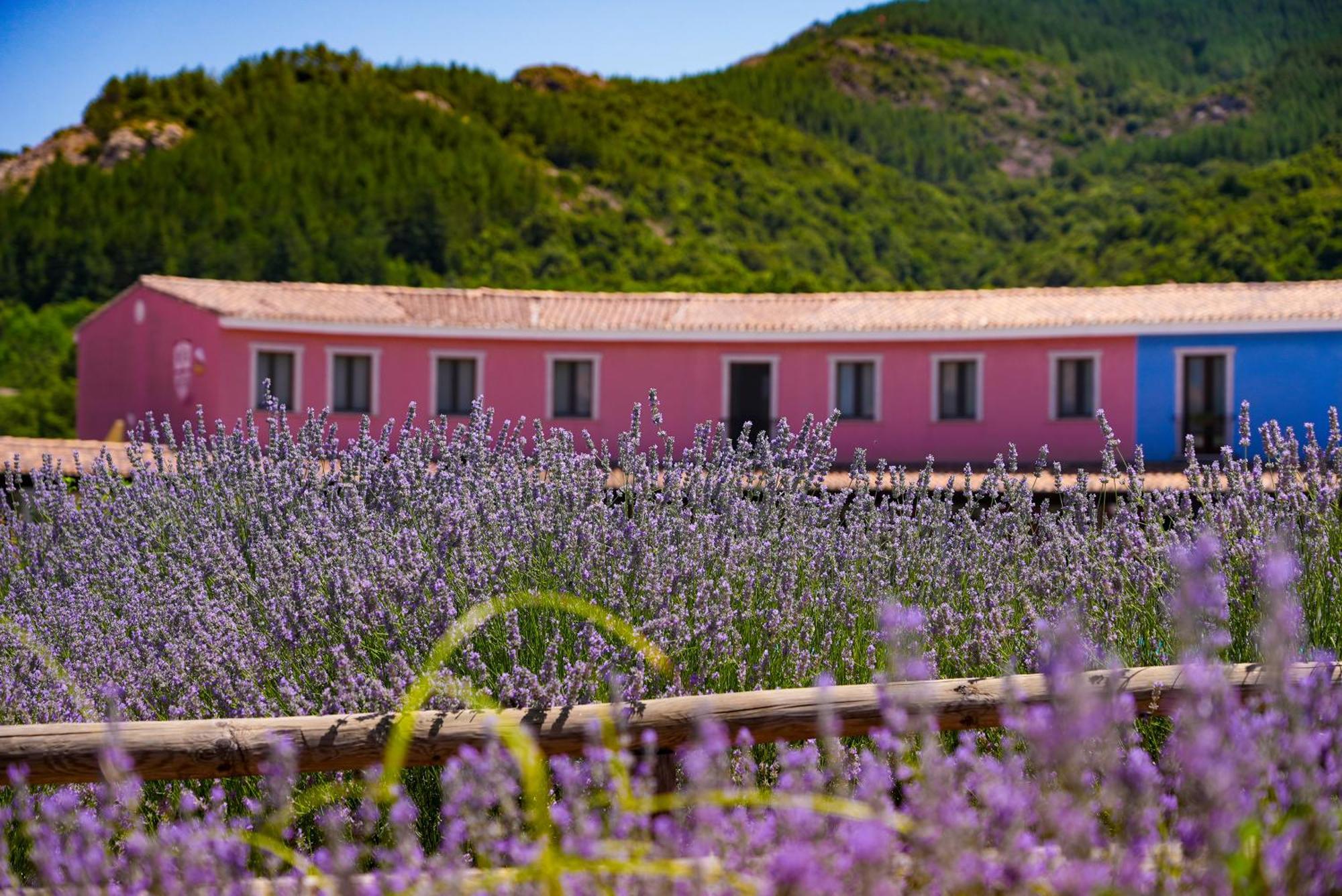 Hotel Eco Orlando Sardegna 4*