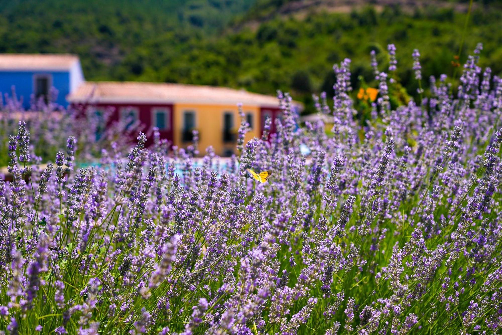 Hotel Eco Orlando Sardegna 4*