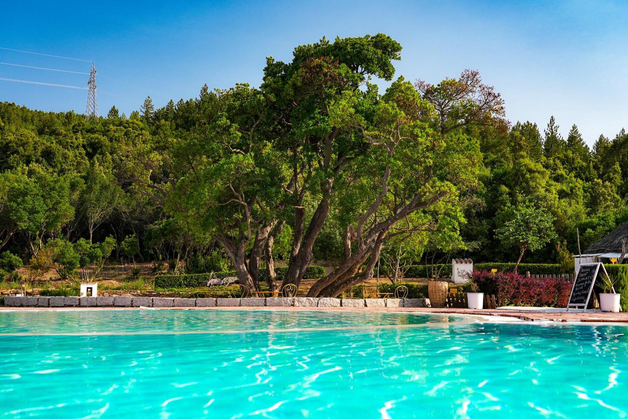 Eco Orlando Sardegna