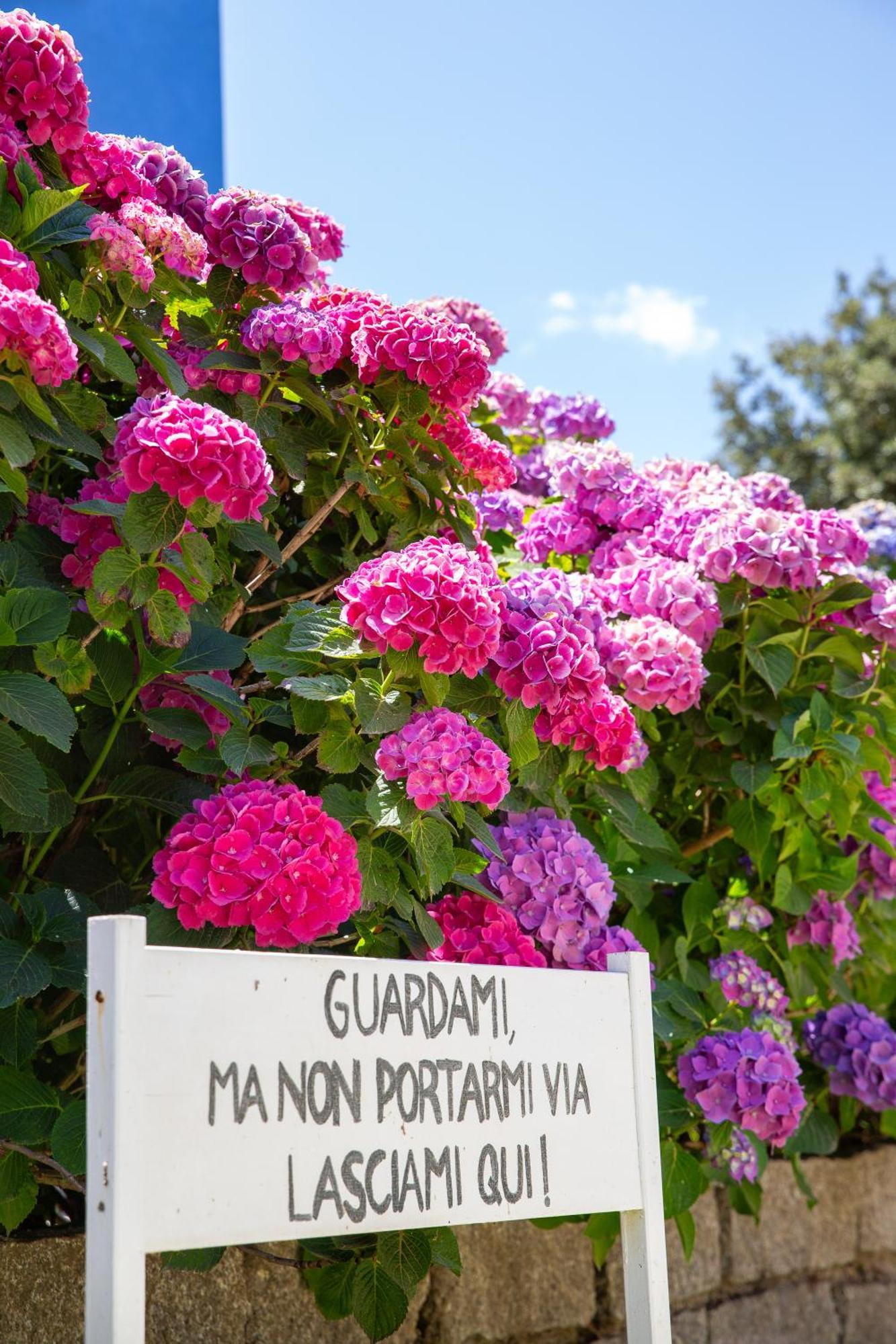 Eco Orlando Sardegna 4*