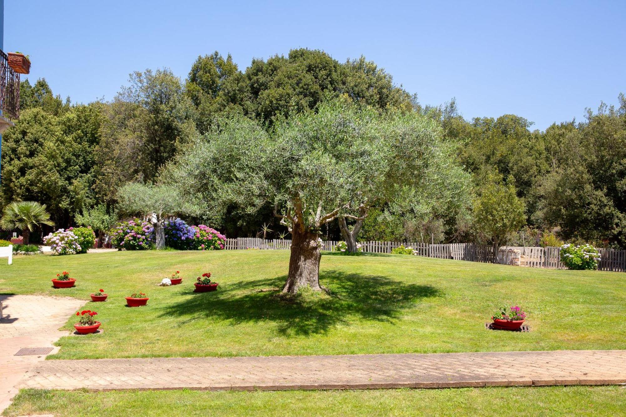 Eco Orlando Sardegna Hotel 4*